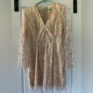 Southern fried chics sequin dress inspired by Carrie Underwood’s 2019 CMA dress